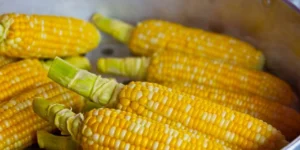 Як смачно зварити кукурудзу: секрети соковитих качанів
