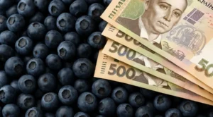Лохина та пачка банкнот по 500 гривень на тлі