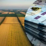 Скільки коштує пай в Україні у 2026 році