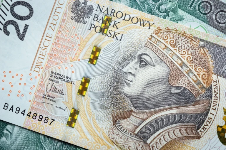 Чому в Польщі не євро: головні причини 2026