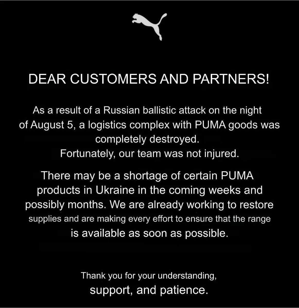Знищений логістичний комплекс Puma після удару