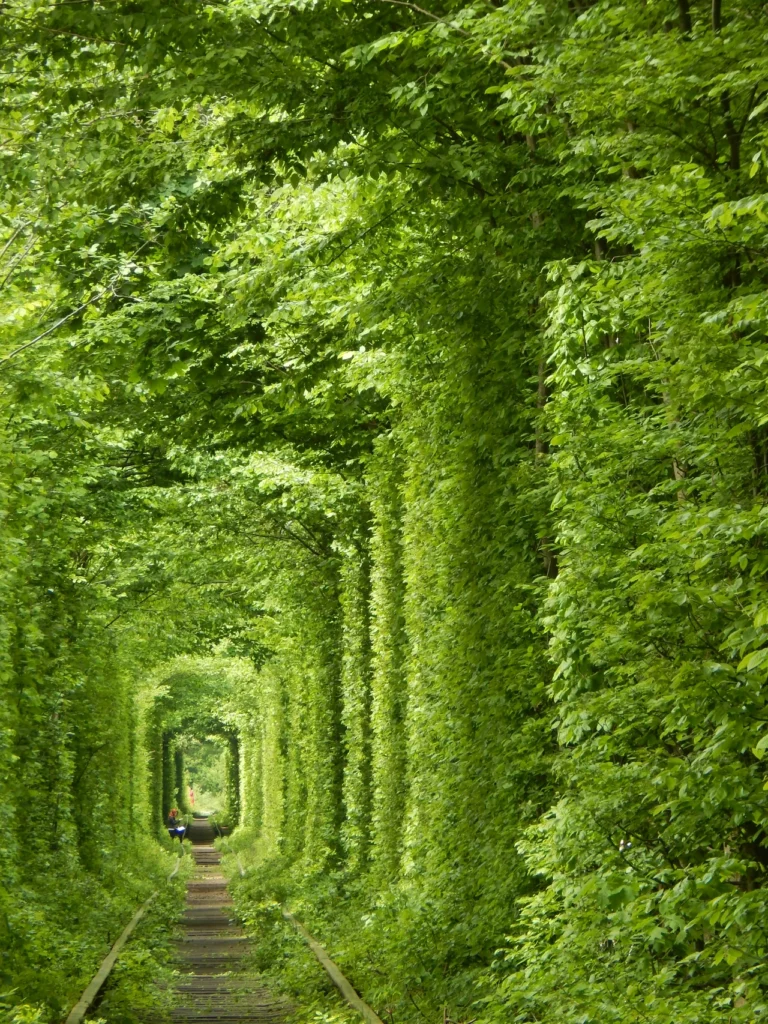 Тунель кохання цікаві факти: арка, яку вирівняв потяг